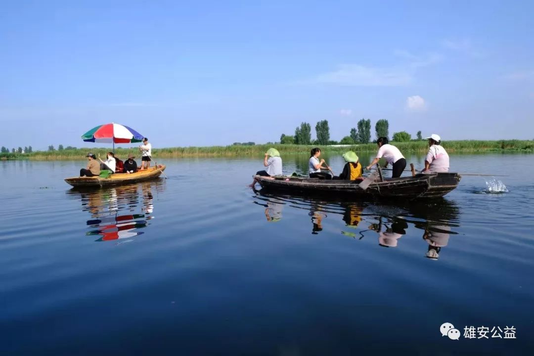 保定雄縣振華撒網(wǎng)直播，自然美景探索之旅直播盛宴