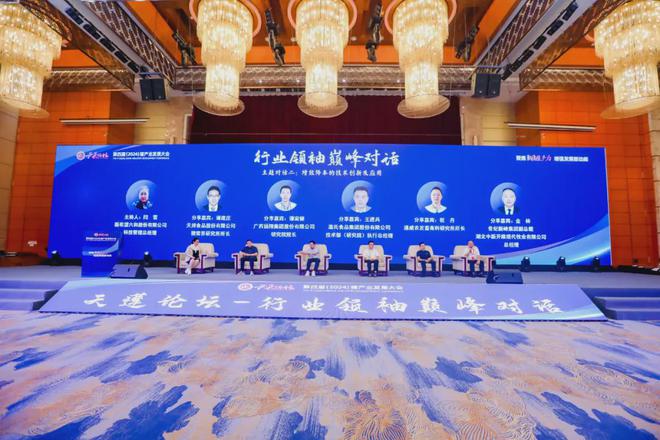 2024最新佛歌風(fēng)潮，發(fā)展與影響探討