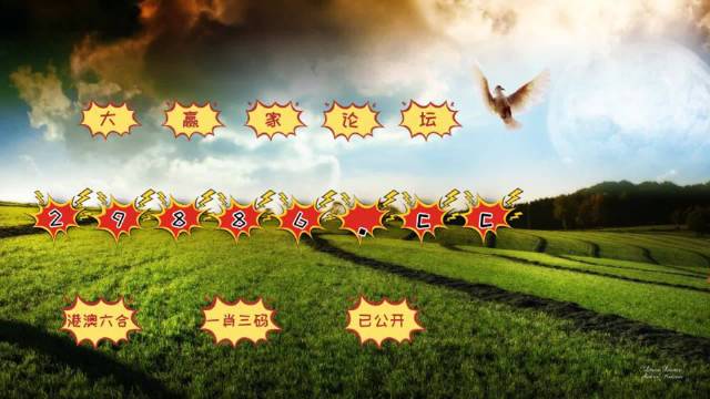澳門彩4949開獎數(shù)據(jù)，決策輔助方案：LTL68.395特別版