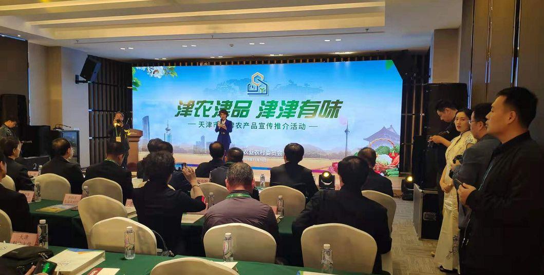 科技重塑生活，小站直播暫停，智能魅力體驗(yàn)前沿風(fēng)采