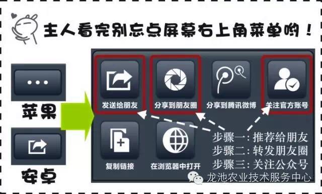 2024新澳正版資料免費分享，詳盡解析與實施指南_WSL 4.73.26專用版