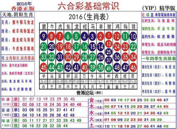 2024生肖49碼策略圖表，精巧布局FKX7.65.89管控版