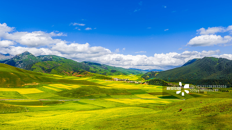 蔡成直播，與自然美景的邂逅，探索內(nèi)心寧靜之旅