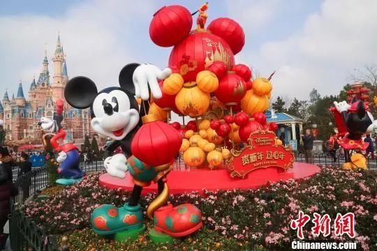 直播燕窩假,直播燕窩假，小巷中的秘密燕窩樂園