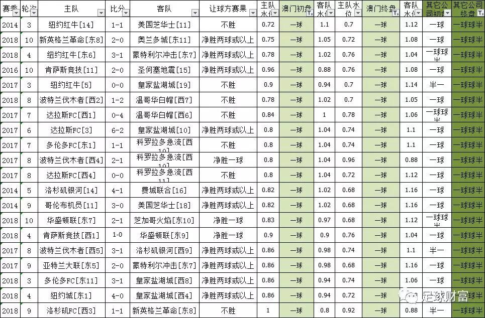 澳門獨(dú)中一注投注策略，全面評(píng)估準(zhǔn)則_全解析版WIJ130.52
