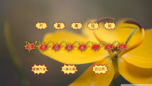 澳門4949開獎(jiǎng)速報(bào)，圖庫精彩解讀_極速版DRW824.9
