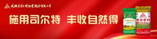 司爾特最新分紅消息,司爾特最新分紅消息，探尋其在特定領(lǐng)域中的地位與影響