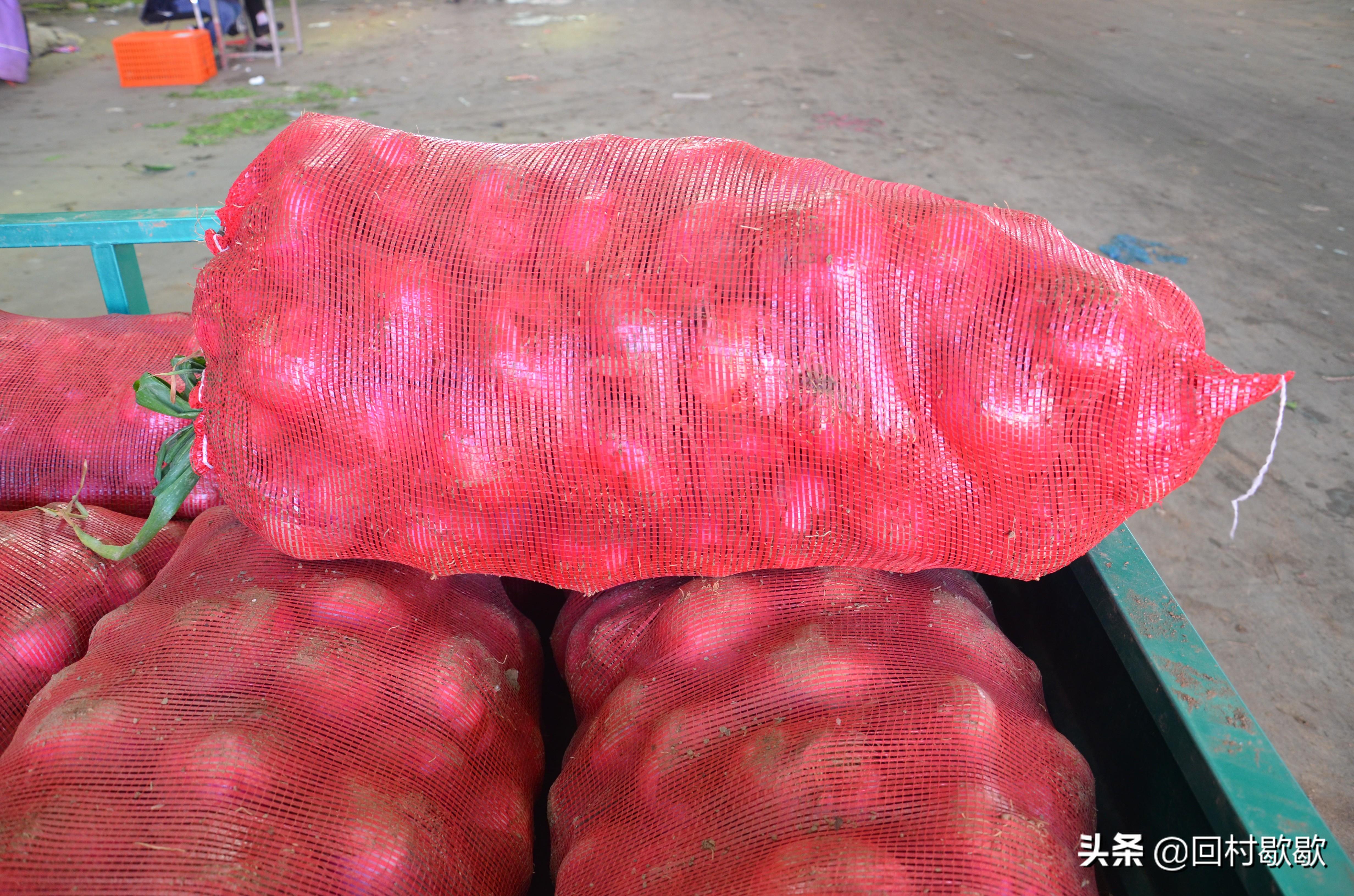 河北甘藍(lán)最新價(jià)格動(dòng)態(tài)更新????