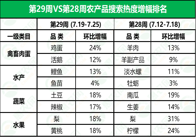 金鄉(xiāng)鮮大蒜最新行情揭秘，小巷深處的蒜香寶藏與價(jià)格走勢(shì)分析