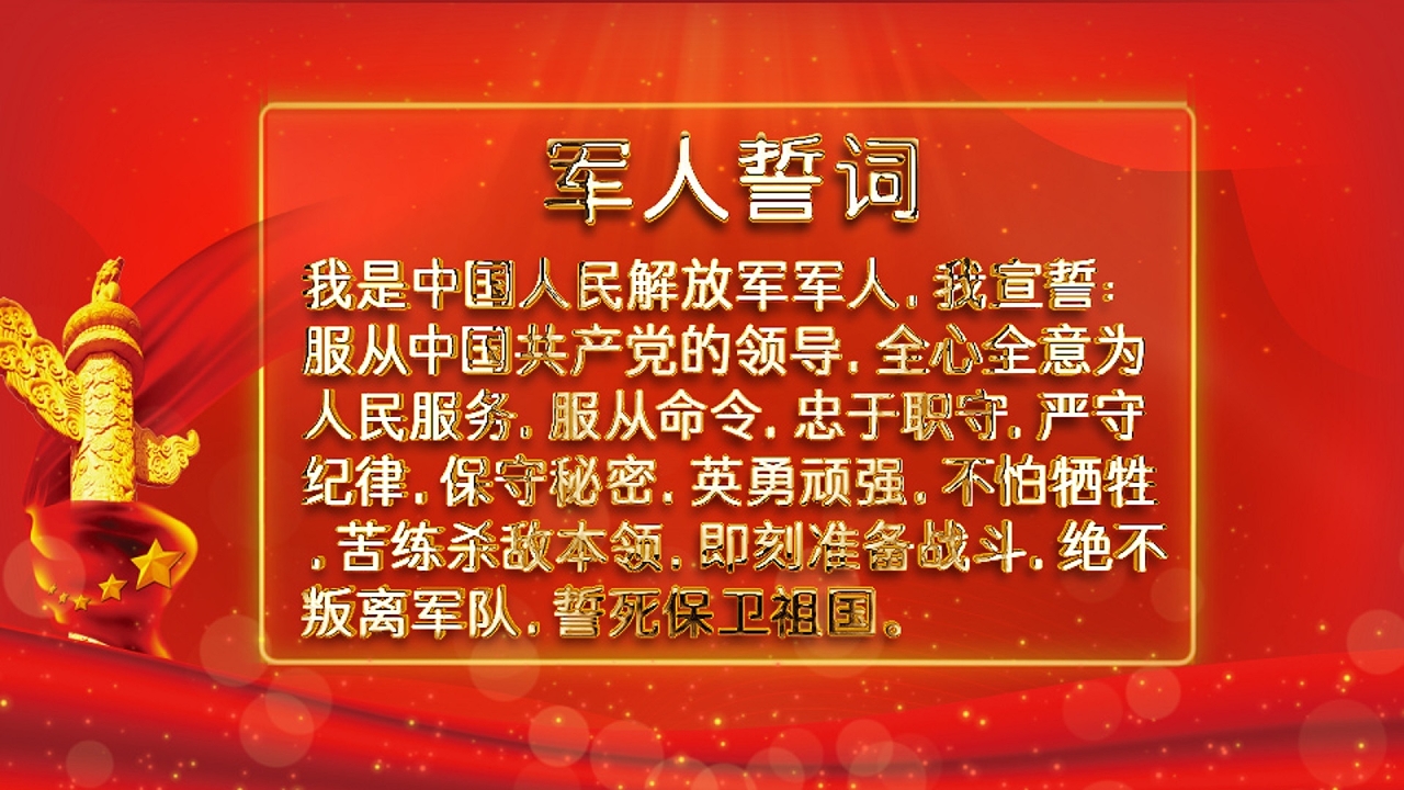 軍人誓詞最新版，觀點(diǎn)論述與深度解讀