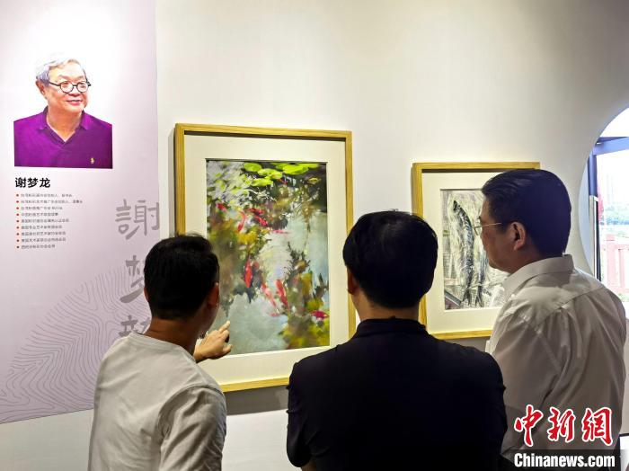 海峽兩岸最新動(dòng)態(tài)，背景、事件與影響分析