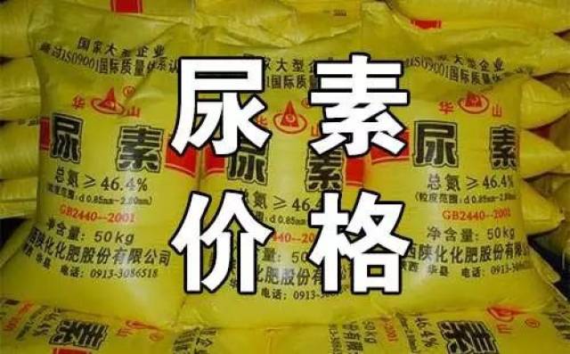 今日尿素最新報價揭秘，小巷中的秘密小店探索之旅