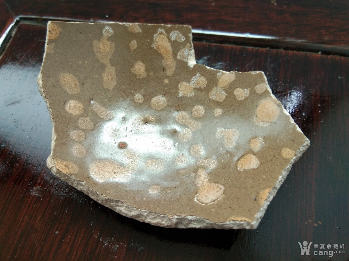時(shí)代背景下的陶瓷藝術(shù)之光，最新瓷片風(fēng)采展示