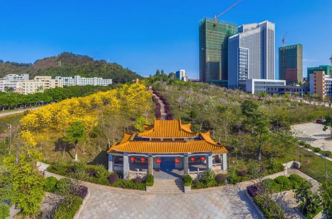 大亞灣最新招聘，學(xué)習(xí)變化，擁抱未來，開啟無限可能之旅