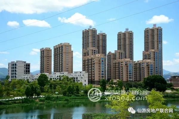 仙游最新房價，家的溫暖故事與樓市動態(tài)同步更新