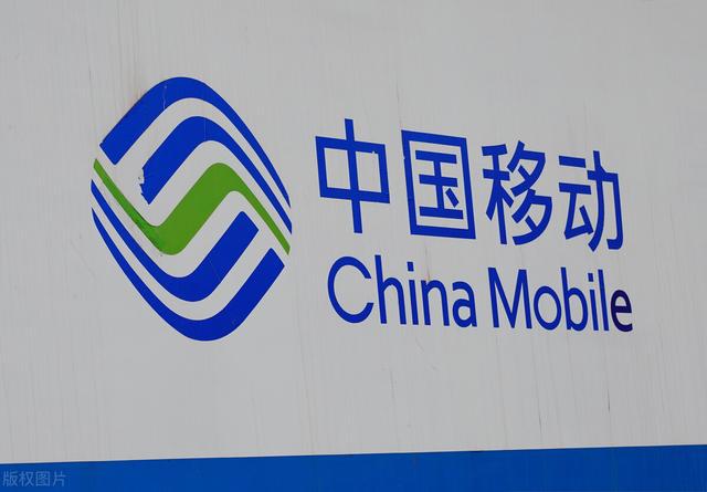 最新免流論壇，時代浪潮下的網(wǎng)絡(luò)變革交流陣地