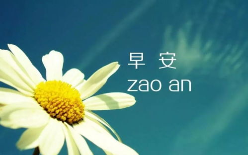 最新早安心語圖片，勵志溫馨的啟程，開啟美好一天的大門