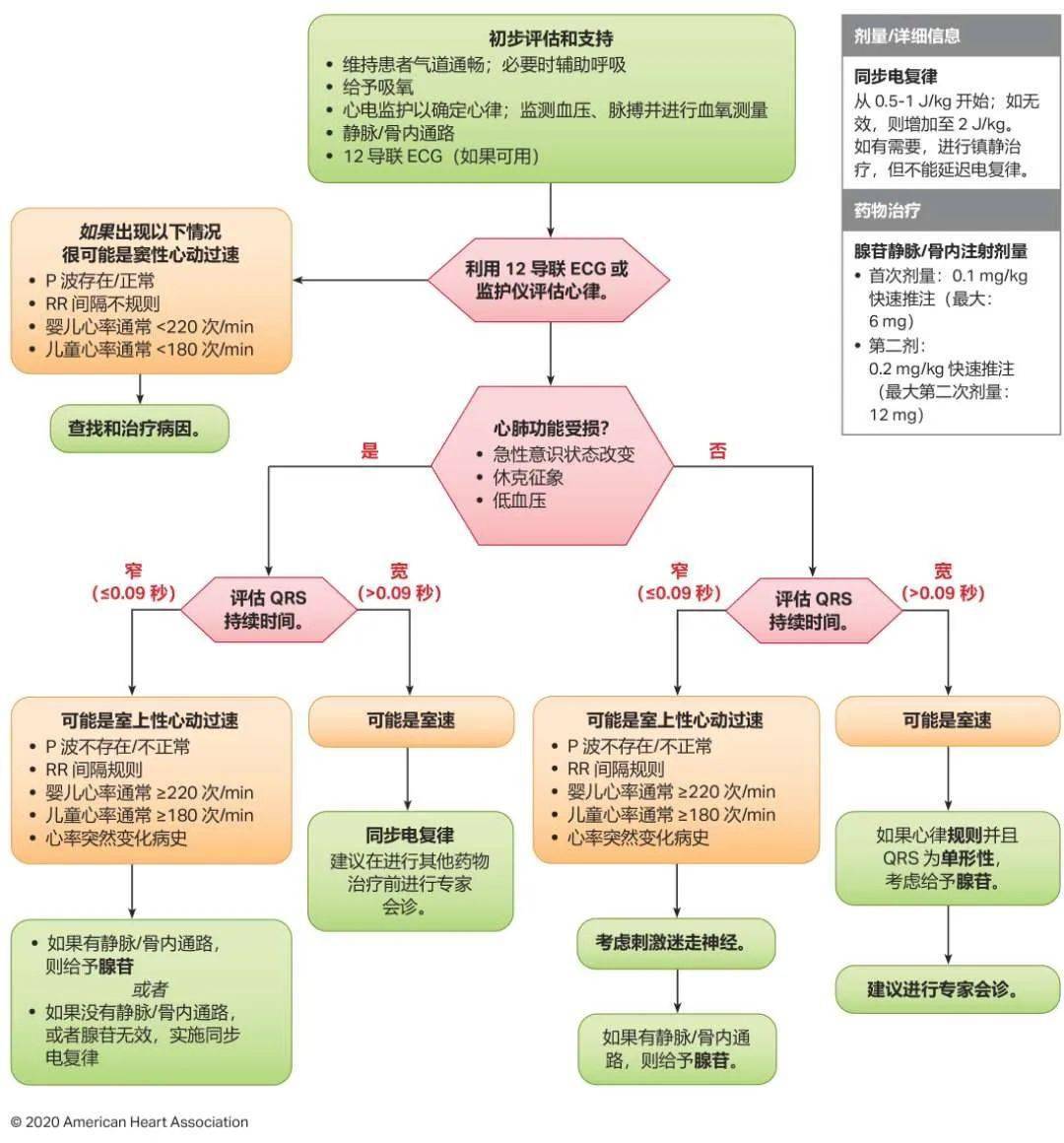 震撼發(fā)布！2024年最新心肺復蘇指南原版詳解與解讀??