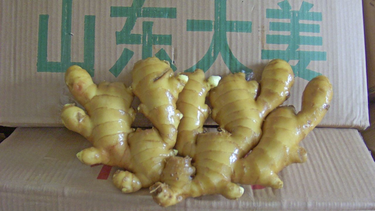 山東大姜最新價格行情，科技引領(lǐng)市場，生姜市場新潮流展望