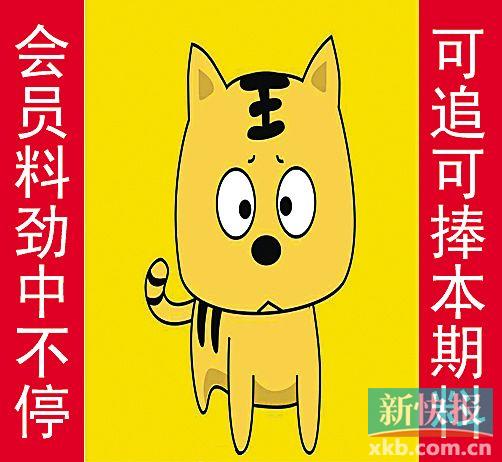 金錢豹自由真功夫最新革新，高科技產(chǎn)品引領(lǐng)未來生活新潮流