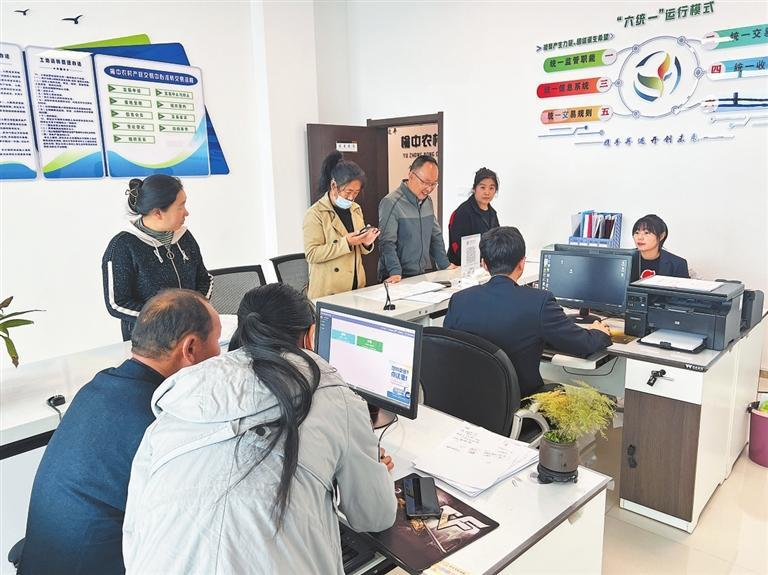 最新農村資訊深度解析，農村發(fā)展動態(tài)一覽