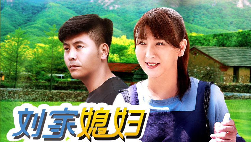 小紅書推薦，劉家媳婦電視劇全集劇情深度解析