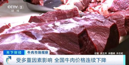 進(jìn)口牛肉行情揭秘，巷弄中的美味探索之旅