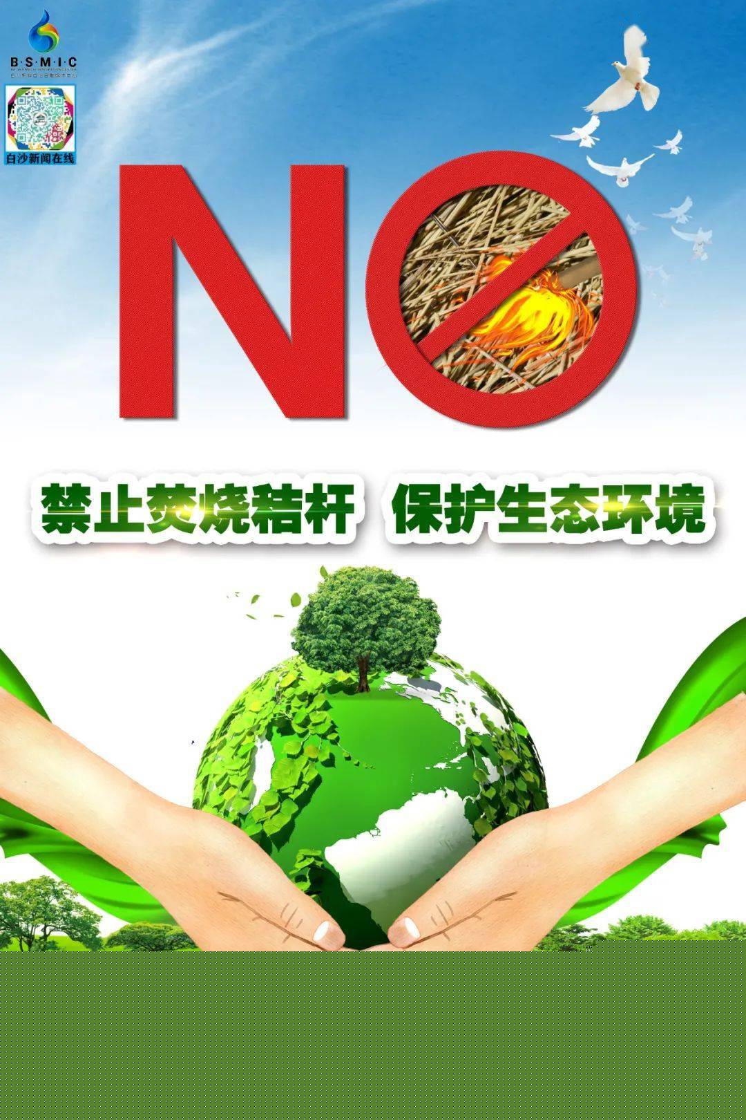 白沙最新動態(tài)更新