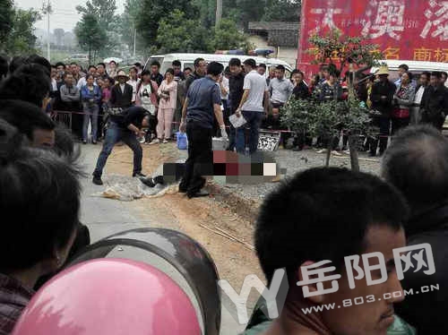岳陽最新命案事件，深度探究與反思