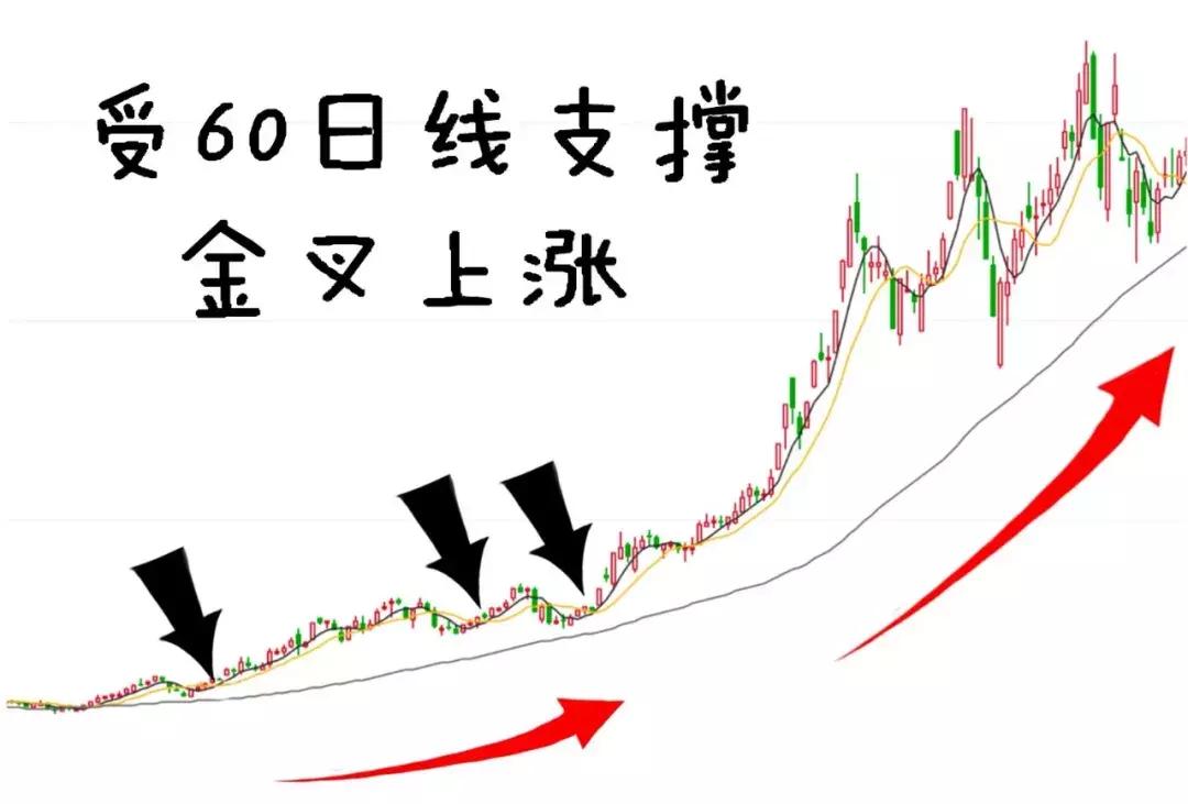 一股股票,一股股票的故事，友情、陪伴與投資的溫暖旅程