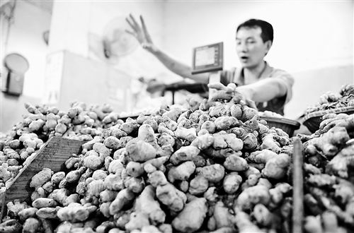 生姜市場行情深度解析與趨勢分析