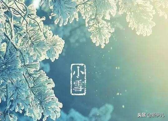 君總深情最新章節(jié)，小巷中的秘密美食探秘之旅