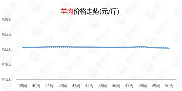 最新羊肉價格走勢分析與觀點論述