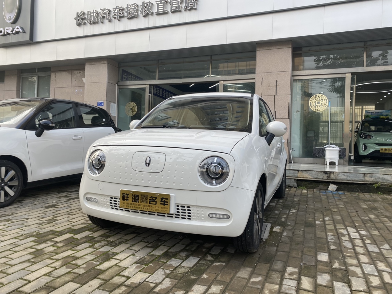黑貓車最新觀點(diǎn)闡述，最新黑貓車的探討與解析