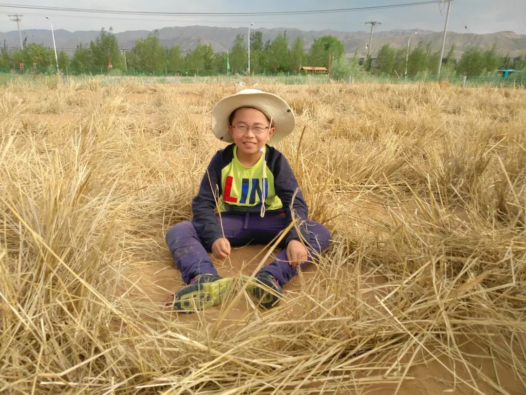 麥草人最新動態(tài)，更新資訊與精彩瞬間 ???