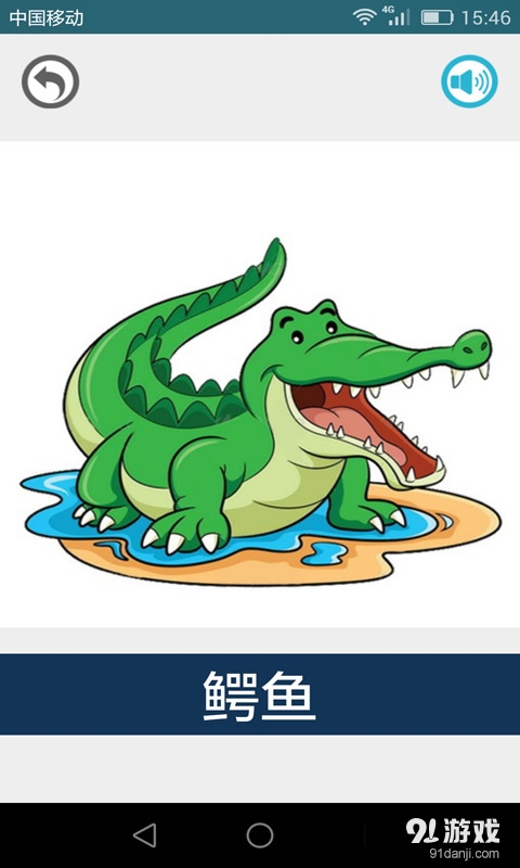 自信與成長(zhǎng)啟示，最新看圖動(dòng)物分享