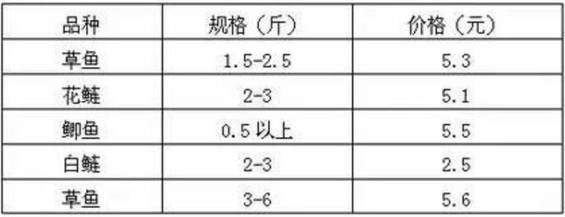 鳊魚最新行情，躍升的機(jī)會(huì)與挑戰(zhàn)與行情分析