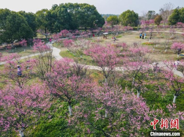 鳳凰溝最新攻略，完成任務(wù)與學(xué)習(xí)技能的詳細(xì)步驟指南