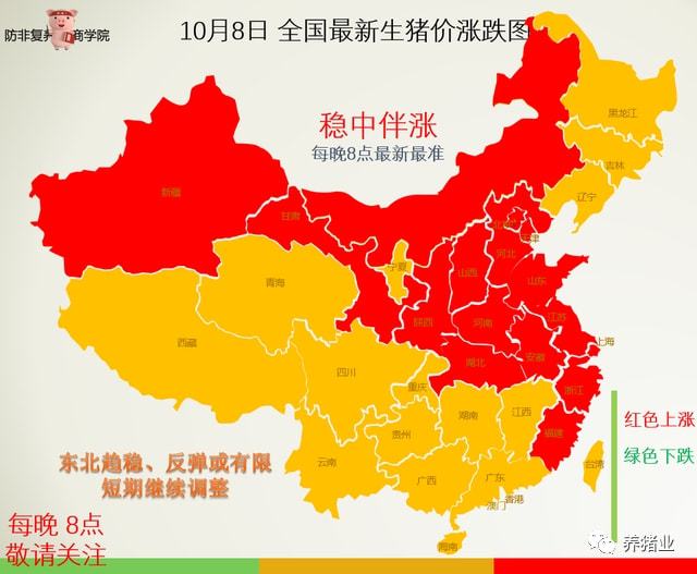 全國最新隱藏小巷神秘小店探秘，獨特環(huán)境魅力無限